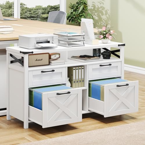 File Cabinet with Open Storage - File Cabinet Lateral 评论和价格